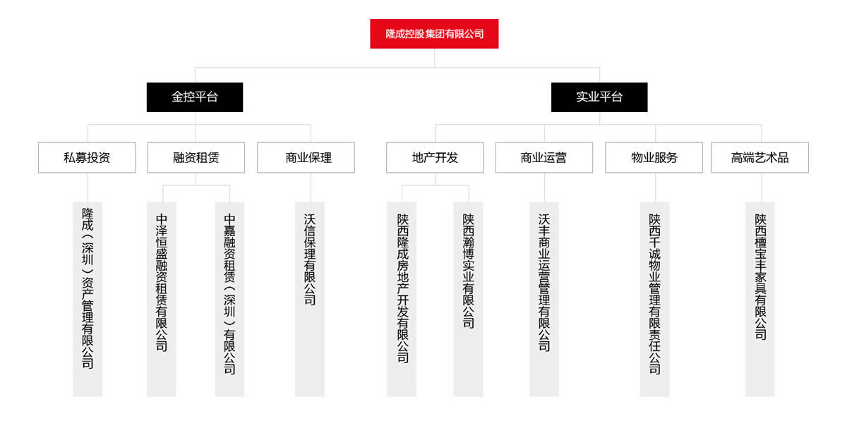 匯高OA系統(tǒng)陜西區(qū)為隆成控股集團公司進行管理升級！